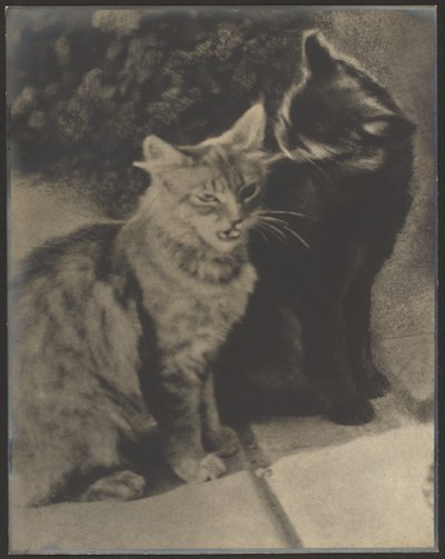 Serenaders autorstwa Louis Fleckenstein