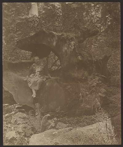  autorstwa Louis Fleckenstein