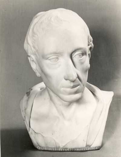 Popiersie Aleksandra Papieża (marmur) autorstwa Louis Francois Roubillac
