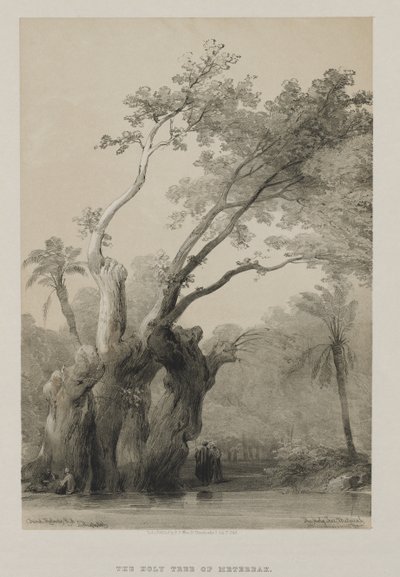 Egipt i Nubia, Tom III: Święte Drzewo Metrei, 1849. autorstwa Louis Haghe