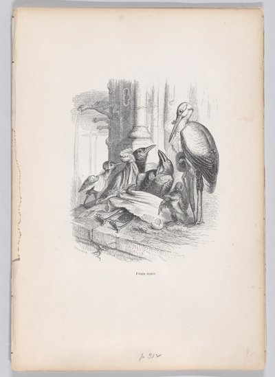 Byłam wdową ze Scen z Prywatnego i Publicznego Życia Zwierząt, ok. godz. 1837-47. autorstwa Louis Henri Brévière