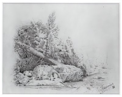 Powalone drzewo, Keene Valley, 25 lipca 1883 r. autorstwa Louis Michel Eilshemius