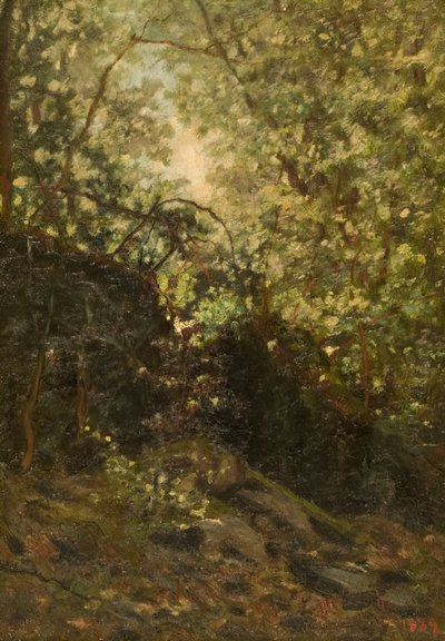 Noc przez las, 1889. autorstwa Louis Michel Eilshemius