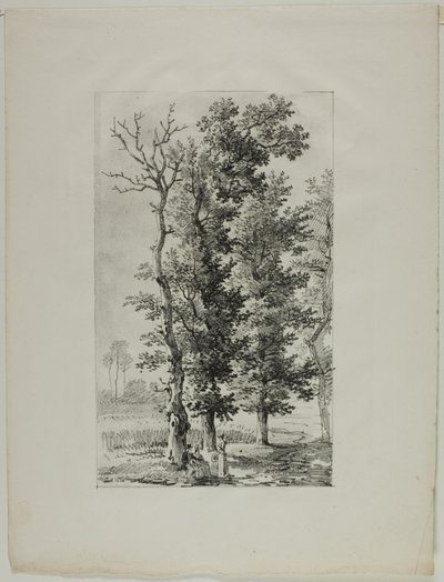 Studium Drzew autorstwa Louis Pierre Baltard