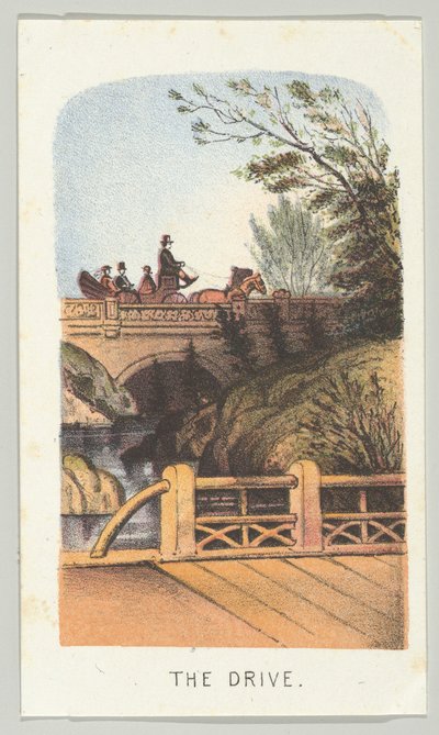 The Drive, z serii Views in Central Park, New York, część 2, 1864. autorstwa Louis Prang