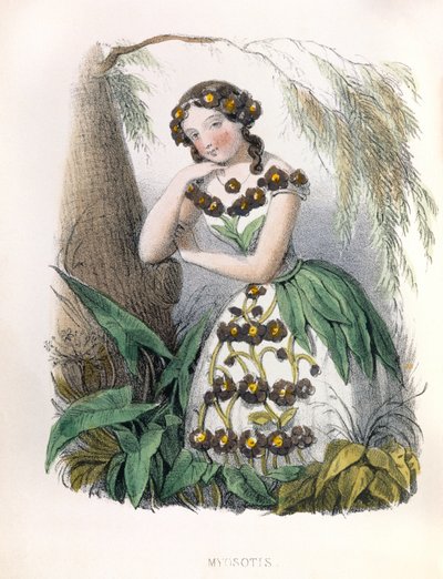 Allegorie , la Myosotis autorstwa Louis Simon (1810-1870) Lassalle