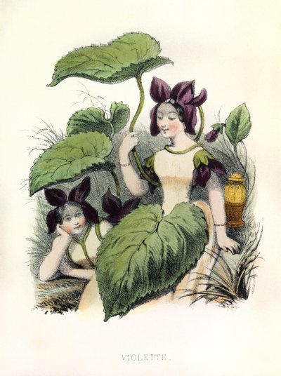 Alegorie , la Violette autorstwa Louis Simon (1810-1870) Lassalle