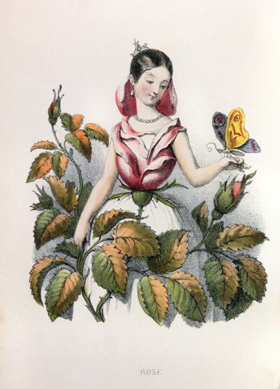 Alegorie, la rose autorstwa Louis Simon (1810-1870) Lassalle