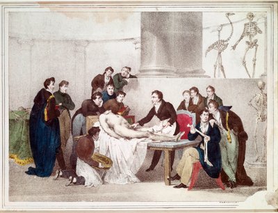 Lekcja anatomii (litografia) autorstwa Louis Thomas Bardel