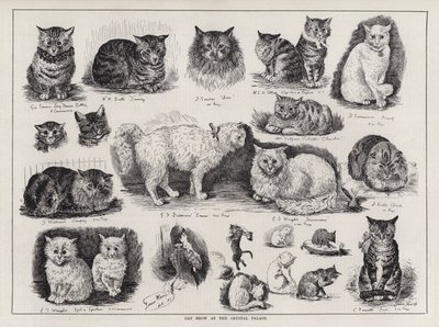 Wystawa kotów w Crystal Palace (grawerowanie) autorstwa Louis Wain