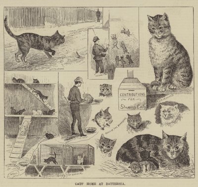 Dom kotów w Battersea autorstwa Louis Wain