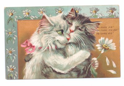 Edwardiańska pocztówka przedstawiająca dwa przytulające się koty, ok. 1910 r. autorstwa Louis Wain