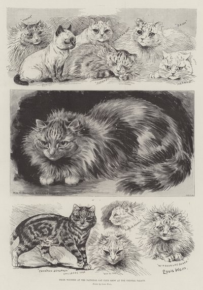 Laureaci na Krajowej Klubowej Wystawie Kotów w Crystal Palace autorstwa Louis Wain