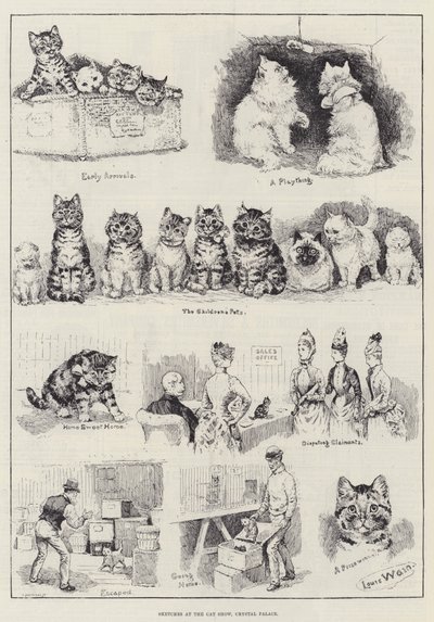 Szkice na wystawie kotów w Crystal Palace autorstwa Louis Wain