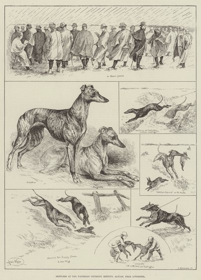 Szkice na Waterloo Coursing Meeting, Altcar, niedaleko Liverpoolu (grawerunek) autorstwa Louis Wain