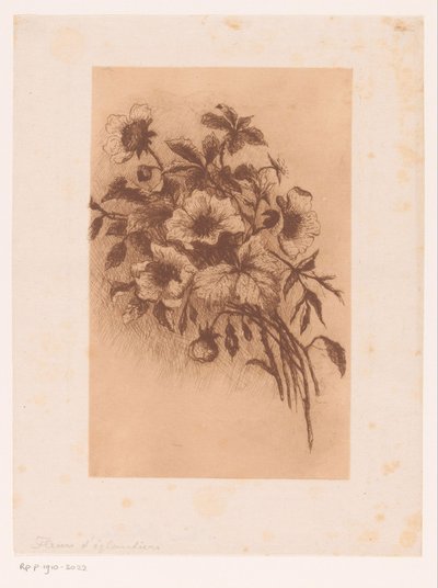 Kwiaty autorstwa Louise Elsen (attributed to)