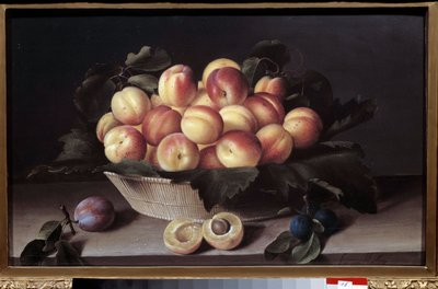 Martwa natura z morelami. Kosz z morelami i śliwkami umieszczony z przodu. Obraz Louise Moillon autorstwa Louise Moillon