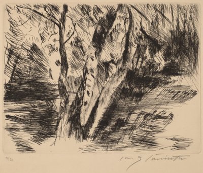 Brzozy w Tiergarten autorstwa Lovis Corinth
