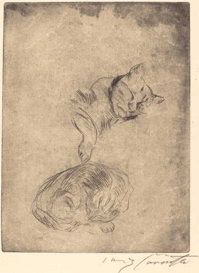 Katzenstudie Studium Kotów, 1920. autorstwa Lovis Corinth