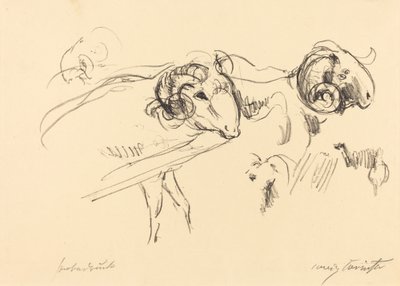 Barany Schafböcke, 1912. autorstwa Lovis Corinth