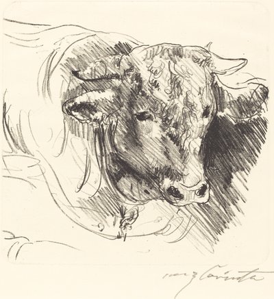 Stierkopf Głowa Woły, 1912. autorstwa Lovis Corinth