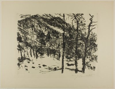 Dolina, od wczesnej wiosny w górach autorstwa Lovis Corinth