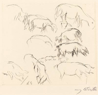Różne badania na zwierzętach autorstwa Lovis Corinth