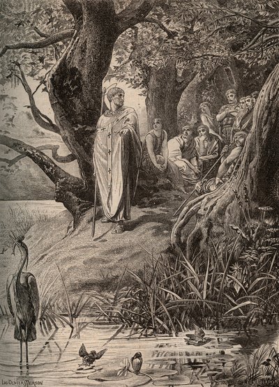 Apolog ptaków rybackich, opowiadany przez św. Marcina mieszkańcom brzegów Loary - rycina Luca Oliviera Mersona (1846-1920) autorstwa Luc Oliver Merson