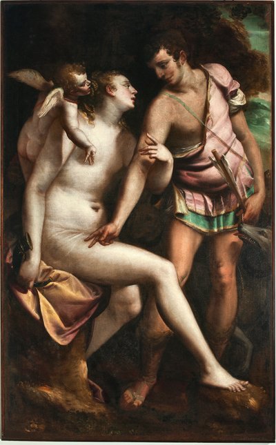 Wenus i Adonis Obraz Luca Cambiaso (1527-1585) Geny z XVI wieku, Musei di Strada Nuova (dawniej Palazzo Bianco) autorstwa Luca Cambiaso