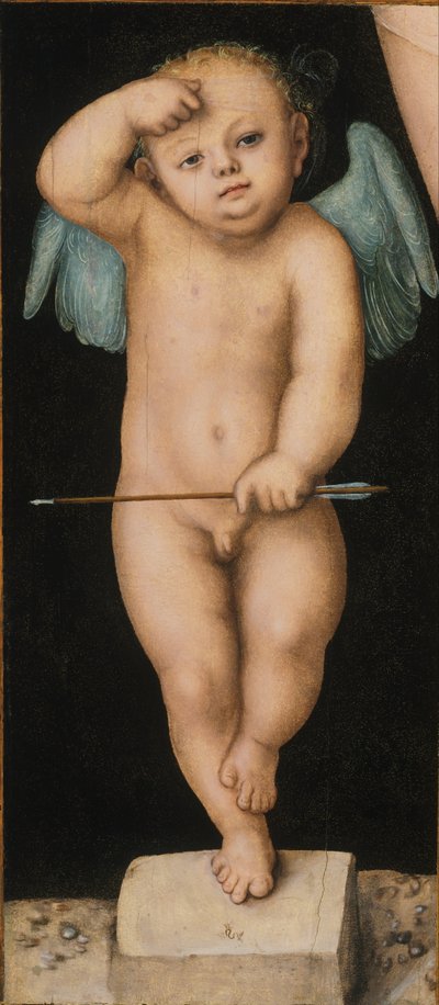 Amorek autorstwa Lucas Cranach the Elder
