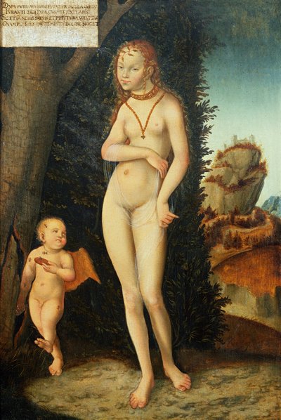 Nieznany obraz autorstwa Lucas Cranach