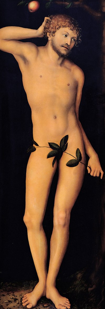 Adam, 1528. autorstwa Lucas Cranach the Elder