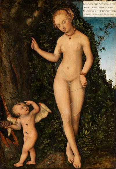 Venus mit Amor als Honigdieb Wenus z Kupidynem złodziejem miodu autorstwa Lucas Cranach the Elder