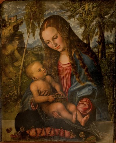 Madonna pod jodłą autorstwa Lucas Cranach the Elder