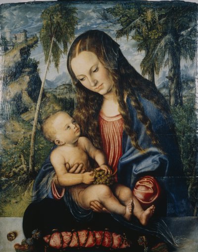 Madonna pod jodłą, ok. 1510 autorstwa Lucas Cranach the Elder