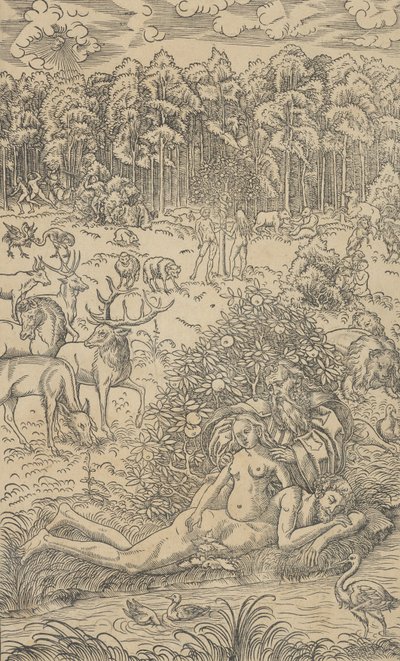 Stworzenie Ewy autorstwa Lucas Cranach the Younger  