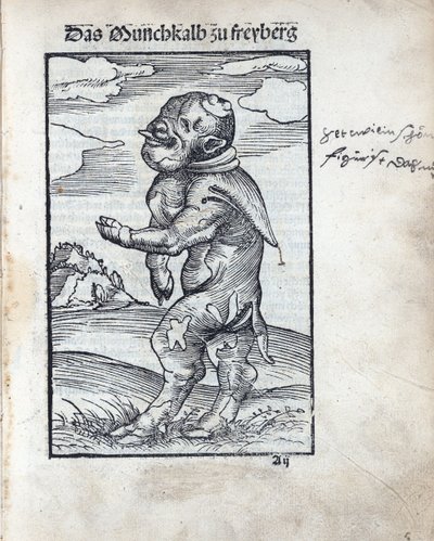 Mnich Cielę z Freiberga (Das Moenchkalb zu Freiberg), autorstwa Cranacha, Lucasa Starszego (1472-1553). drzeworyt autorstwa Lucas the Elder Cranach