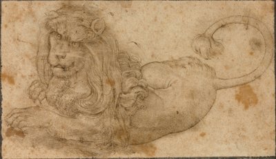 Studium lwa autorstwa Lucas the Elder Cranach
