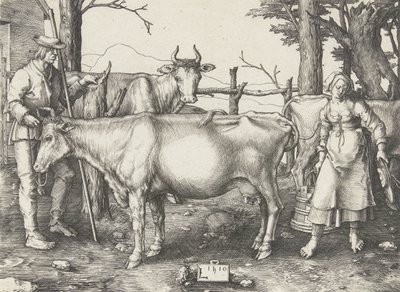 Dojarka autorstwa Lucas van Leyden