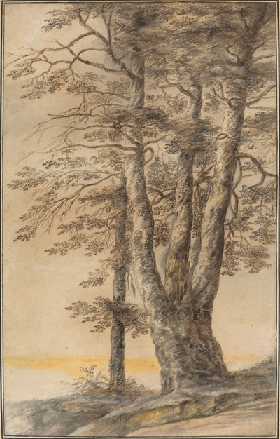 Studium Drzew autorstwa Lucas van Uden