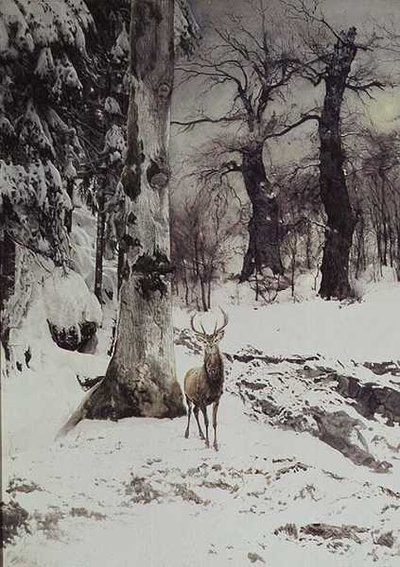 Jeleń w śnieżnym lesie autorstwa Ludwig Fromme