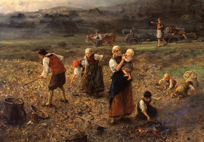 Zbiór ziemniaków autorstwa Ludwig Knaus