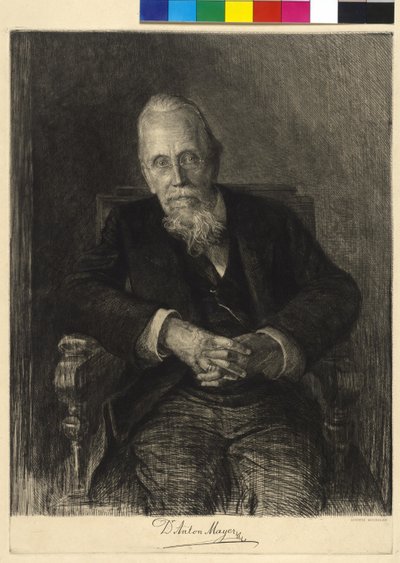 Anton Mayer autorstwa Ludwig Michalek
