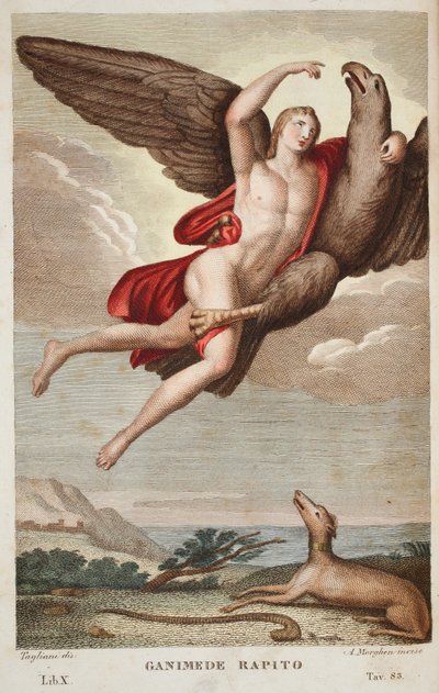 Ganymede unoszony do nieba lub Ganimede Rapito, Księga X, ilustracja z Metamorfoz Owidiusza, Florencja, 1832 (rycina ręcznie kolorowana) autorstwa Luigi Ademollo