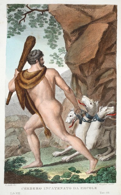 Herkules i Cerber lub Cerbero Incatenato da Ercole, księga VII, ilustracja z Metamorfoz Owidiusza, Florencja, 1832 (rycina ręcznie kolorowana) autorstwa Luigi Ademollo
