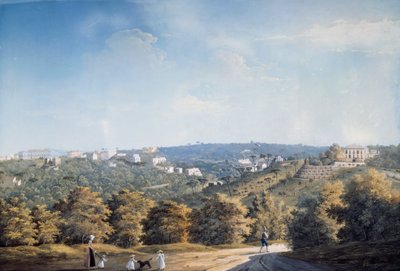 Wzgórze Capodimonte i wille wzdłuż drogi Ponti Rossi (gwasz) autorstwa Luigi Fergola