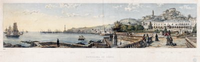 Panoramiczny widok na miasto Genua (litografia autorstwa Luigi Garibbo