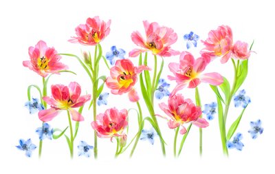 Delikatne różowe tulipany autorstwa Lydia Jacobs
