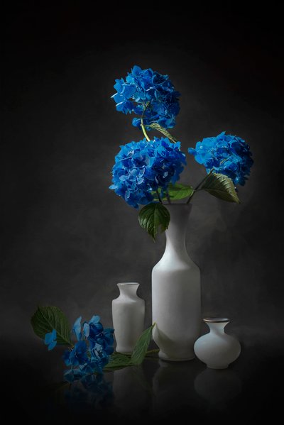 Eleganckie niebieskie hortensje autorstwa Lydia Jacobs