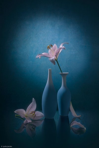 Eleganckie niebieskie lilie autorstwa Lydia Jacobs